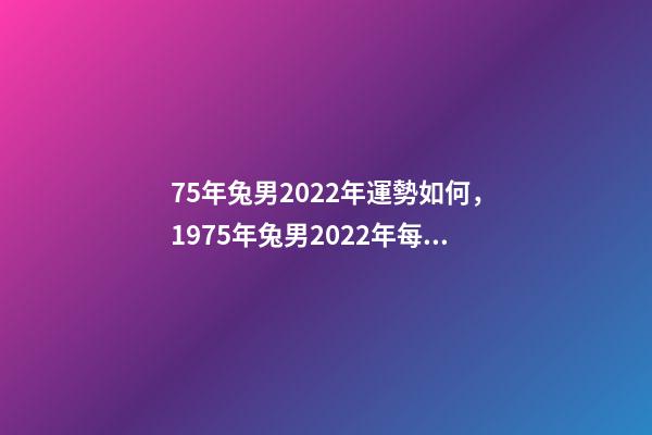 75年兔男2022年運勢如何，1975年兔男2022年每月運 1975年屬兔2022年運勢1975年屬兔人今年運程詳解-第1張-觀點-玄機派